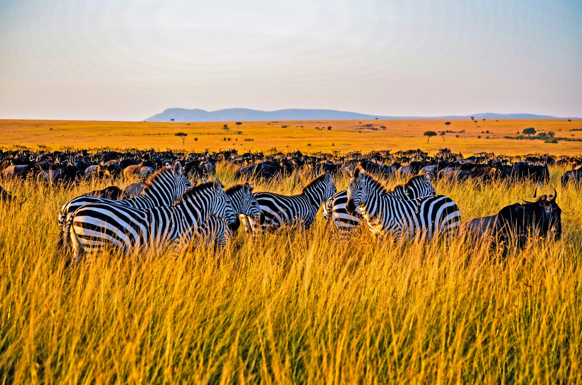 Top Ten Must-See Tourist Attractions In Kenya: A Journey Through Africa's Jewel